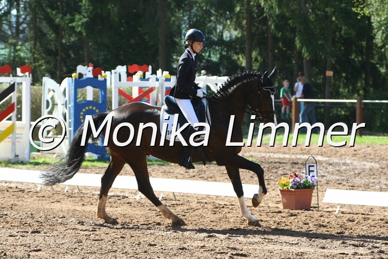 204M7751_Pretty Dancer_Dressur_E.JPG